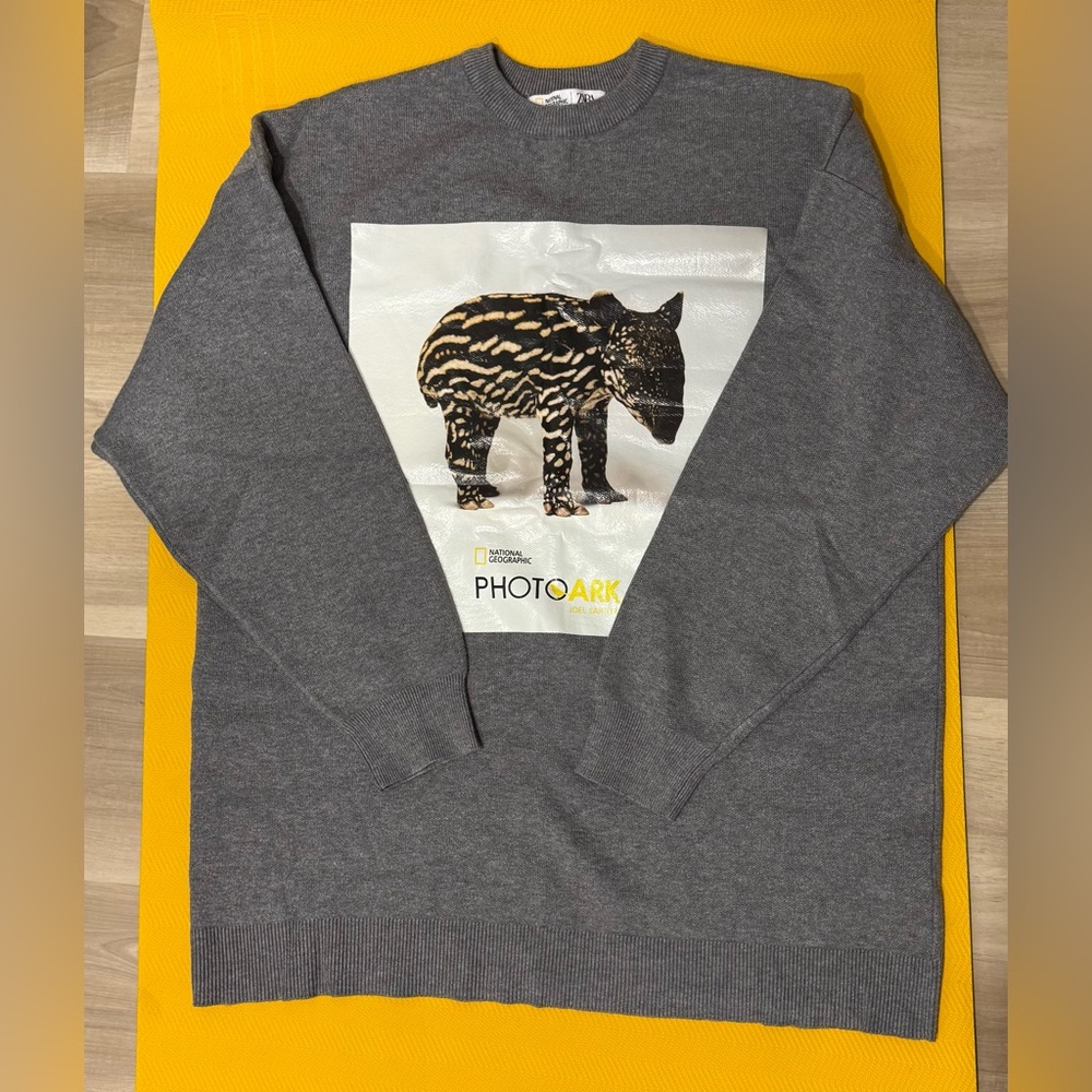 Zara Gray Sweater with Tapir Print